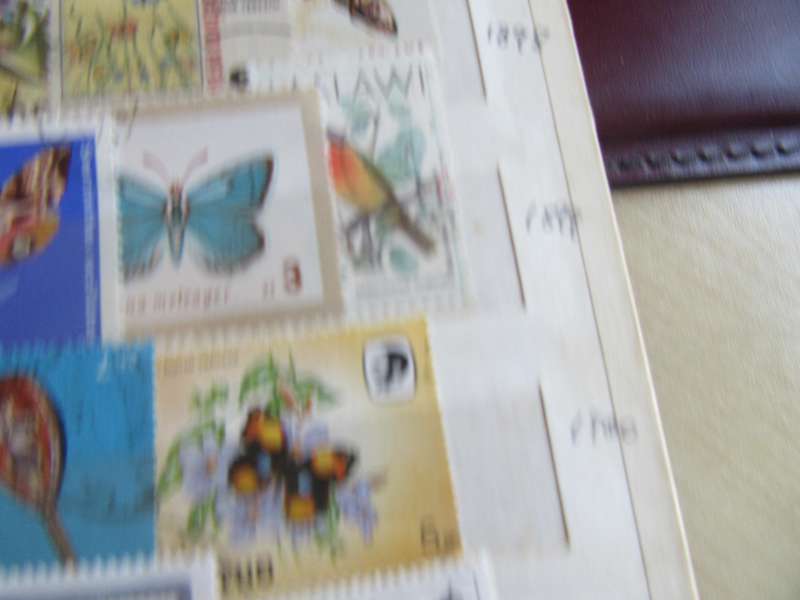GOOD START FOR THE THEMATIC COLLECTOR - 40 WORLD STAMPS - AS PER SCAN -  - P1A