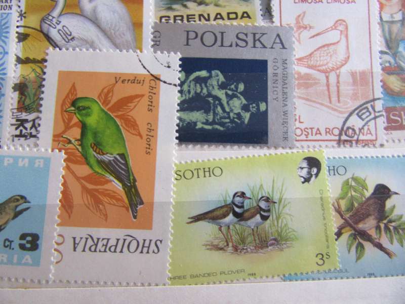 GOOD START FOR THE THEMATIC COLLECTOR -40WORLD STAMPS - AS PER SCAN - - P6