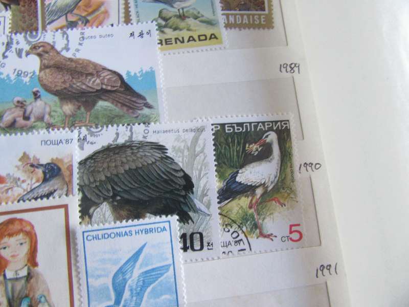 GOOD START FOR THE THEMATICCOLLECTOR - 40 VARIOUS WORLD STAMPS - S PER SCAN - P12