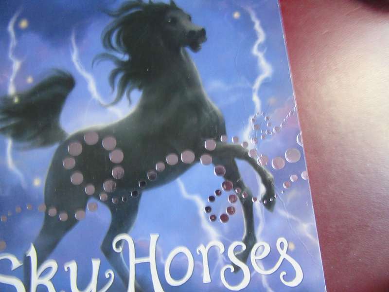 SKY HORSES - THE EYE OF THE STORM - LINDA CHAPMAN - MD