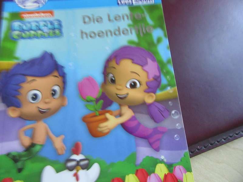 REG VIR LEES- DIE LENTE - HONDERTJIE - MD