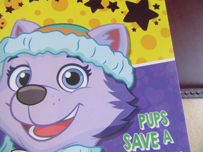 READ TO ME - PUPS SAVE A TEENY PENGUIN - MD