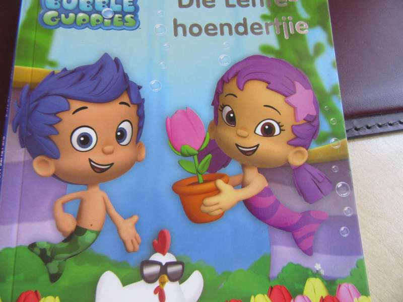REG VIE LEES - VLAK2 - DIE LENTE-HOENDERTLIE - MD