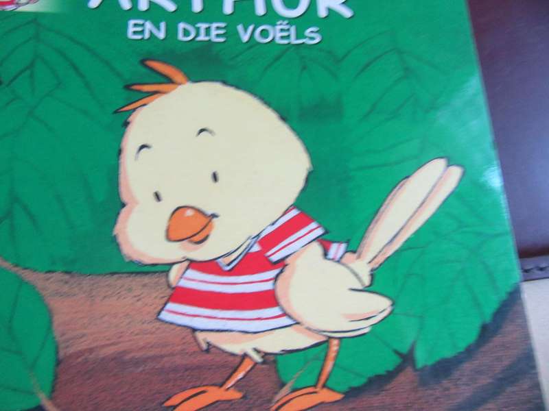 DIE AVONTURE VAN ARTHUR - ARTHUR EN DIEVOELS - LD