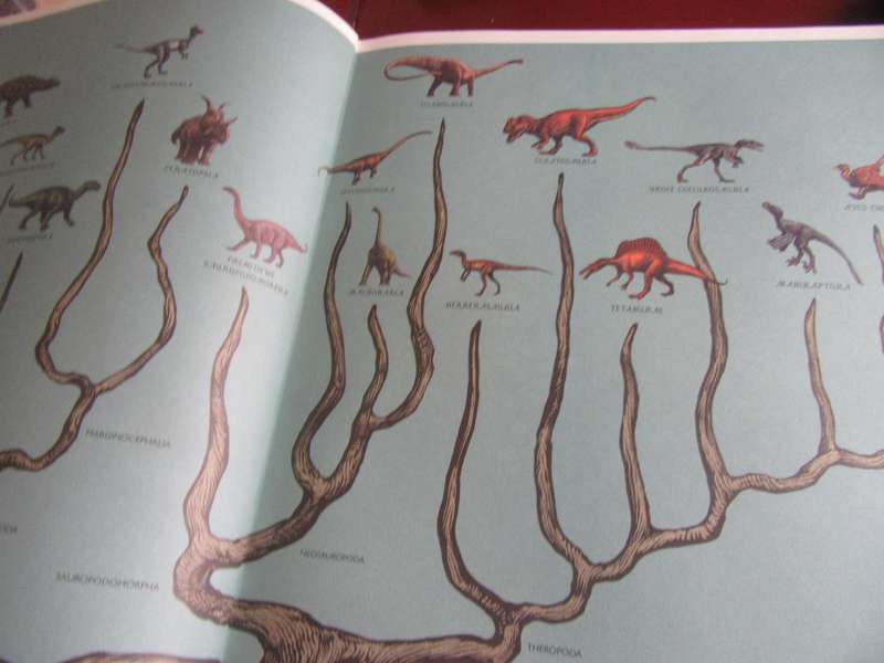 WELKOM BY DIE MUSEUM - DINOSOURIUM - THICK HARD COVER - 91 PAGES - LD