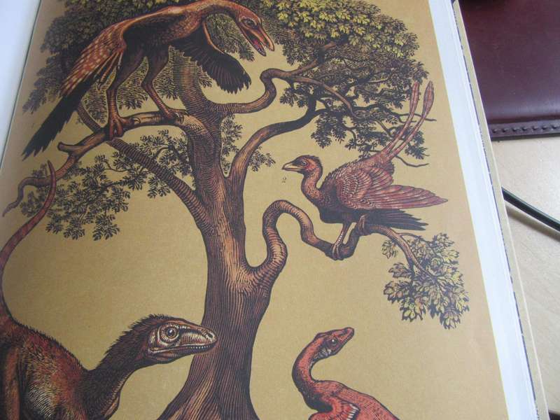 WELKOM BY DIE MUSEUM - DINOSOURIUM - THICK HARD COVER - 91 PAGES - LD