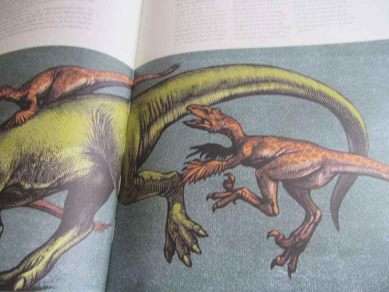 WELKOM BY DIE MUSEUM - DINOSOURIUM - THICK HARD COVER - 91 PAGES - LD