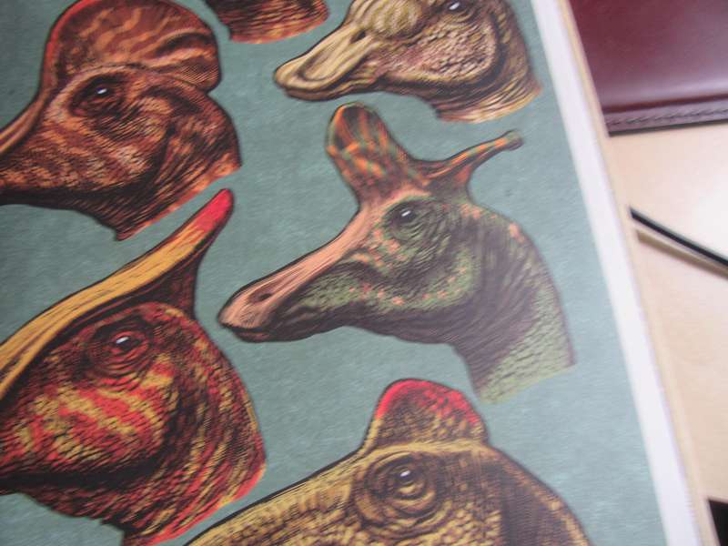 WELKOM BY DIE MUSEUM - DINOSOURIUM - THICK HARD COVER - 91 PAGES - LD
