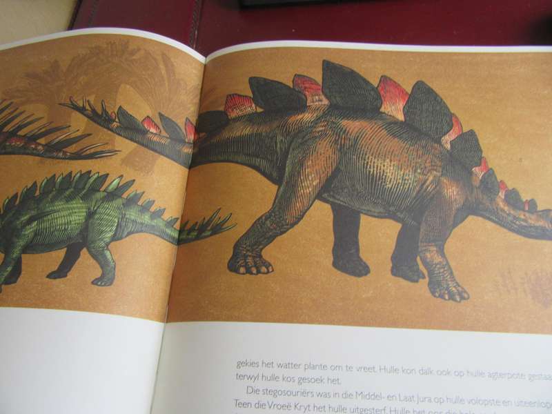 WELKOM BY DIE MUSEUM - DINOSOURIUM - THICK HARD COVER - 91 PAGES - LD