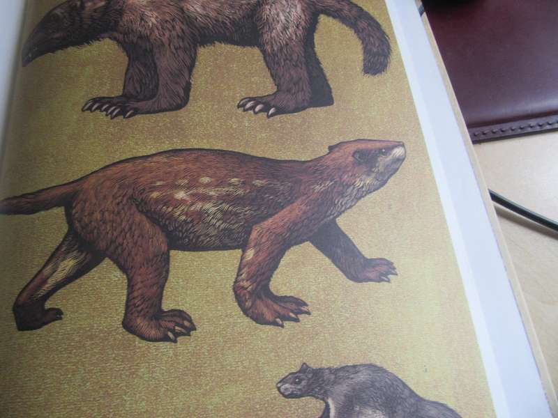WELKOM BY DIE MUSEUM - DINOSOURIUM - THICK HARD COVER - 91 PAGES - LD