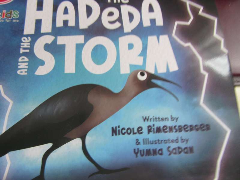 THE Hdeda storm - winpy - ld