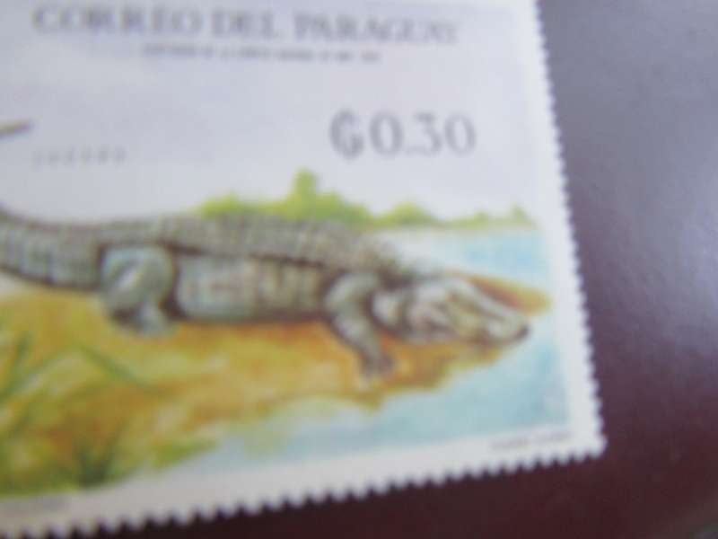 PARAGUAY