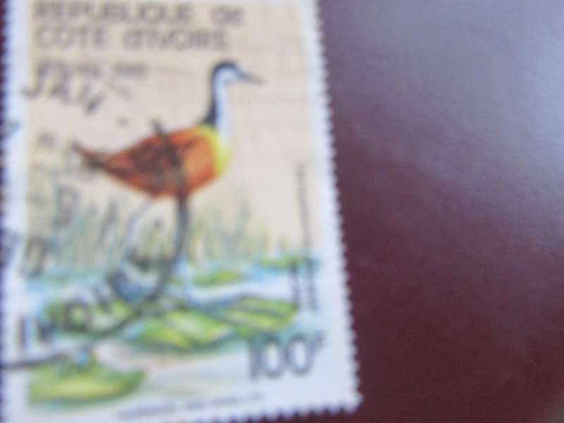 IVORY COAST