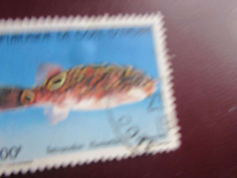 IVORY COAST