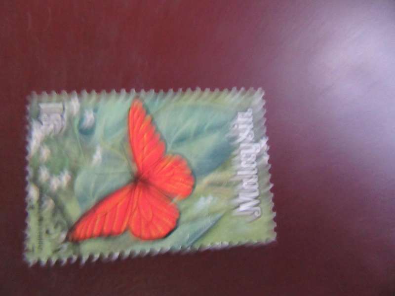 MALAYSIA -21
