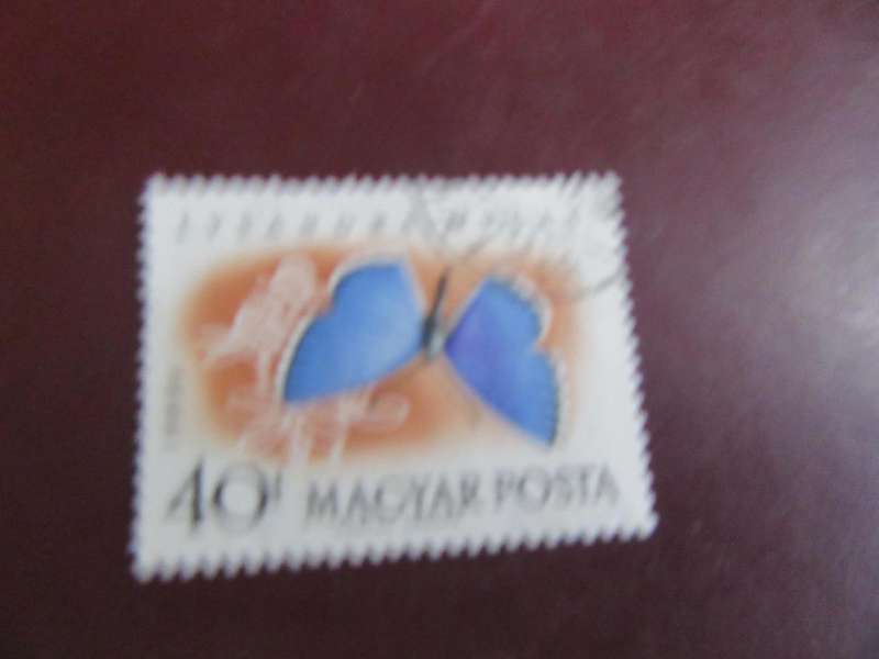 HUNGARY -2