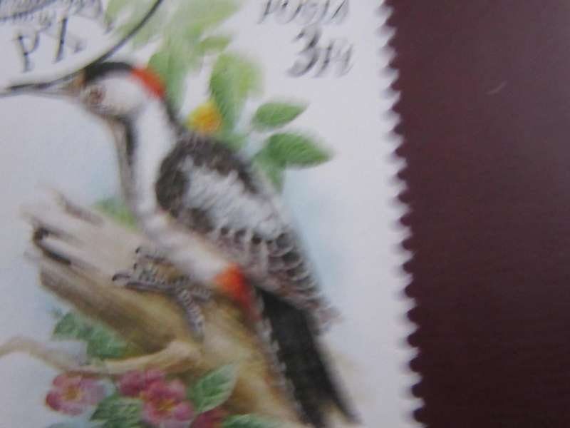 HUNGARY -2