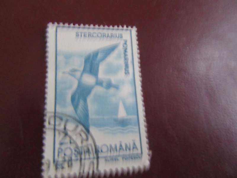 ROMANIA -3