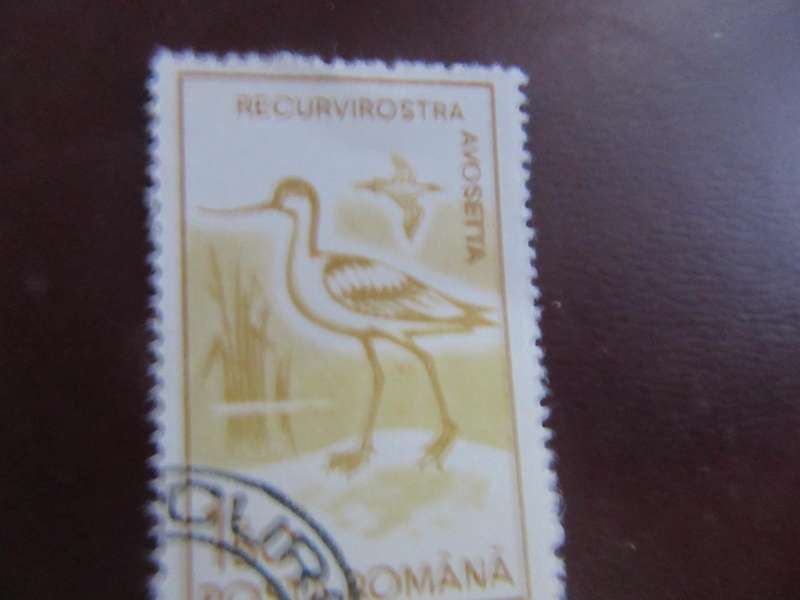 ROMANIA -3
