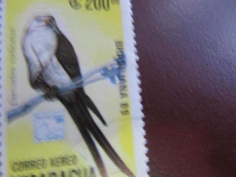 NICARAGUA-3