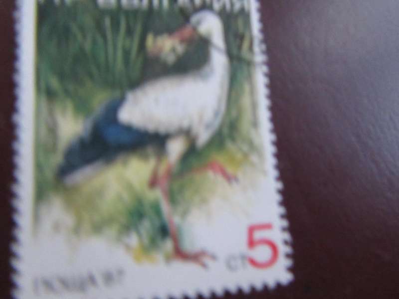 RUSSIA -3