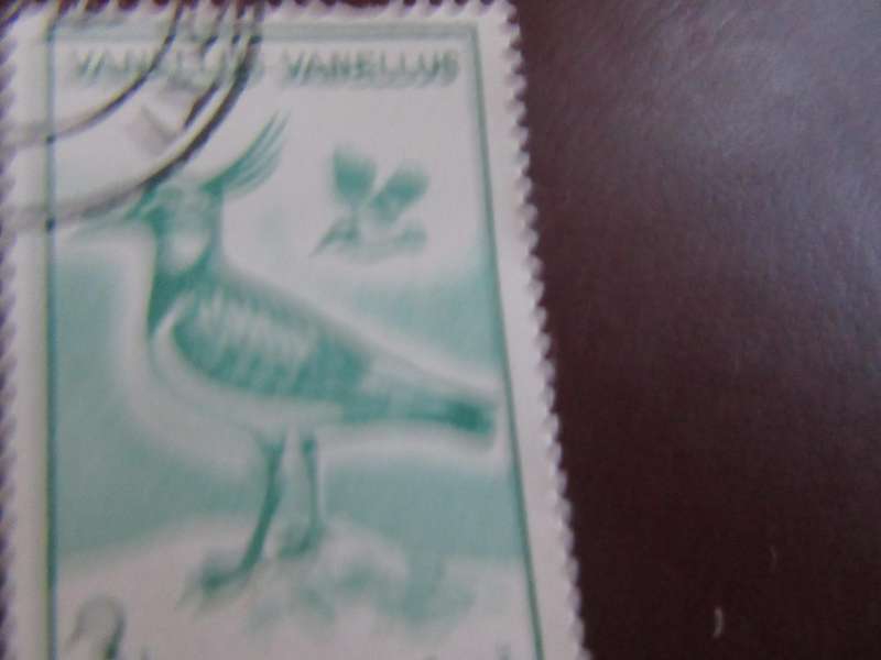 ROMANIA -3