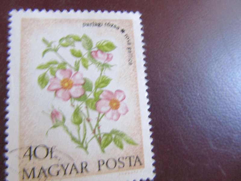 HUNGARY -4