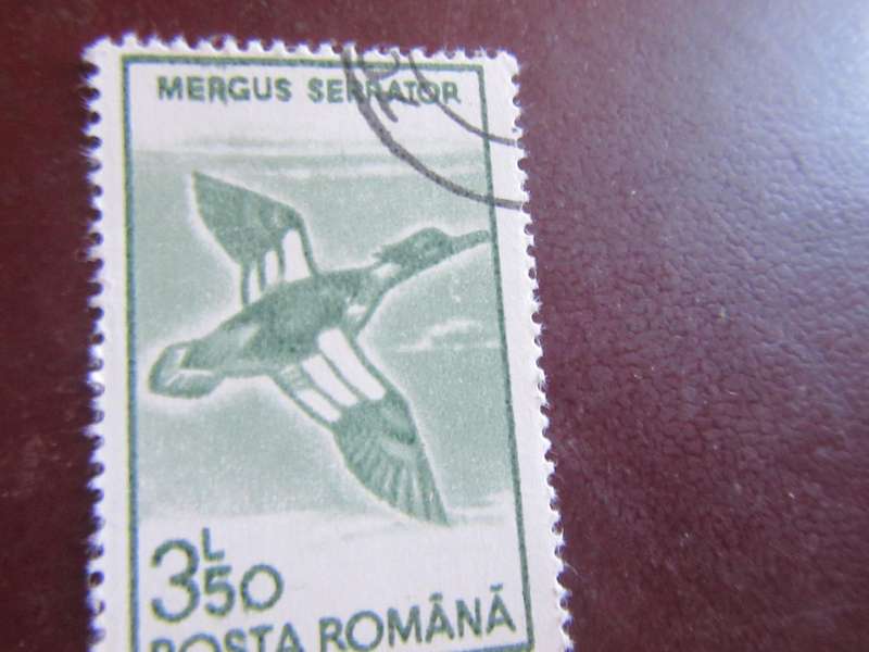 ROMANIA -4