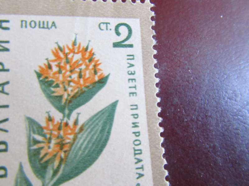 RUSSIA -4