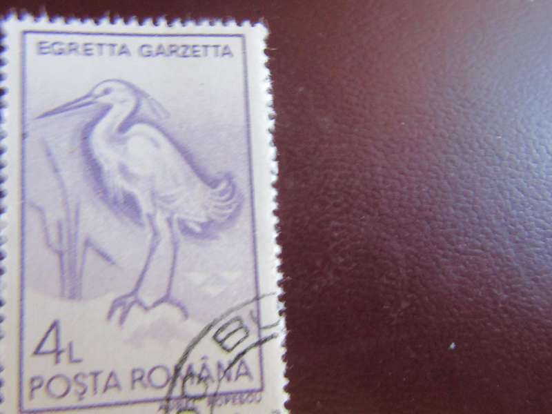 ROMANIA -4