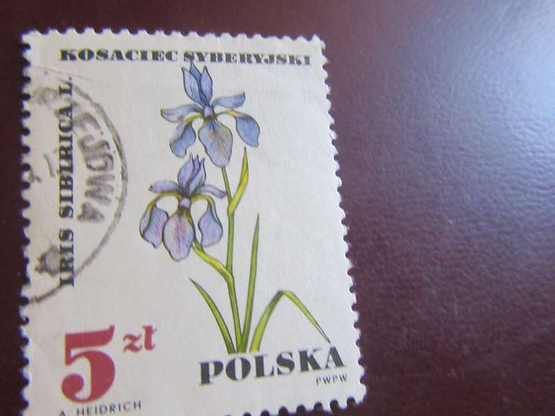 POLAND-4