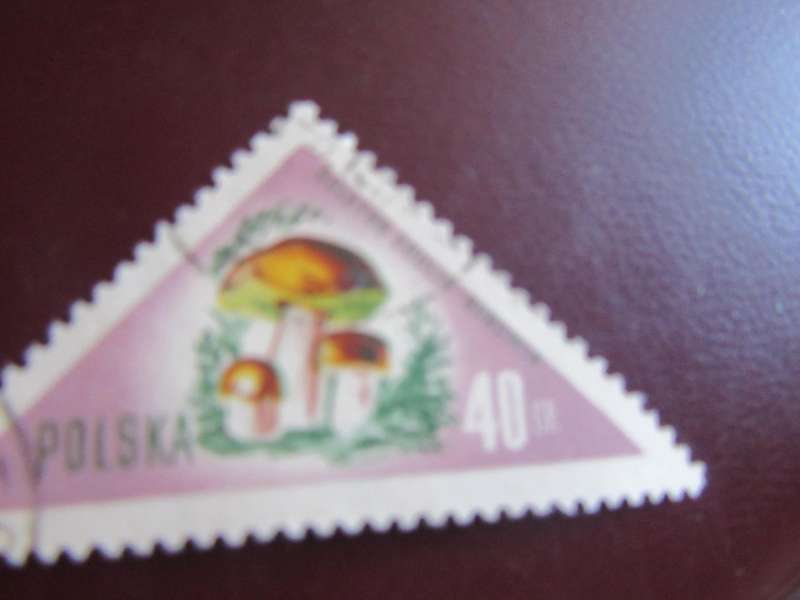 HUNGARY -4