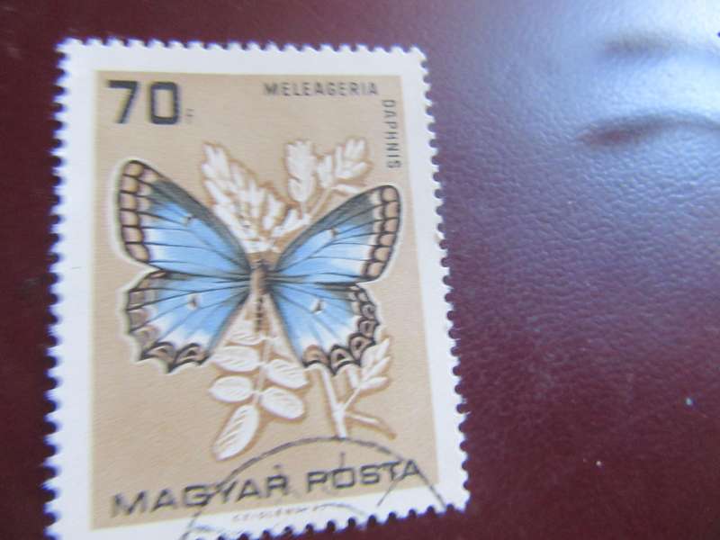 HUNGARY -5