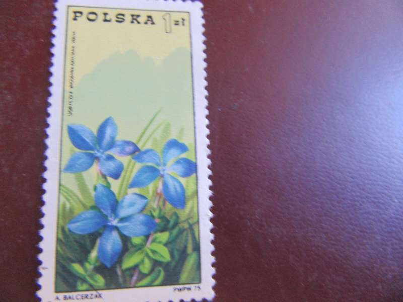 POLAND -5