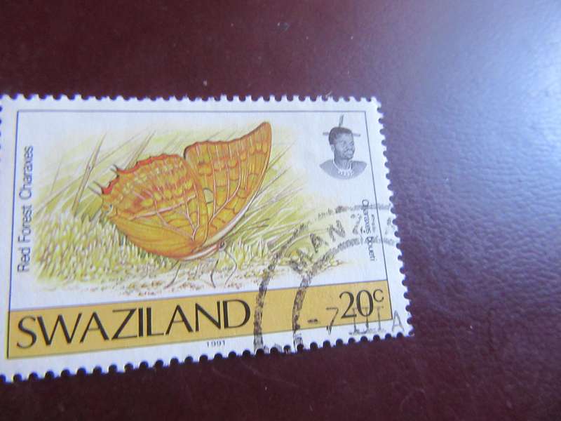 SWAZILAND -5