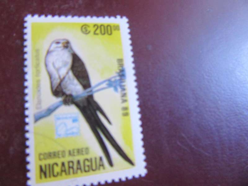 NICARAGUA -5
