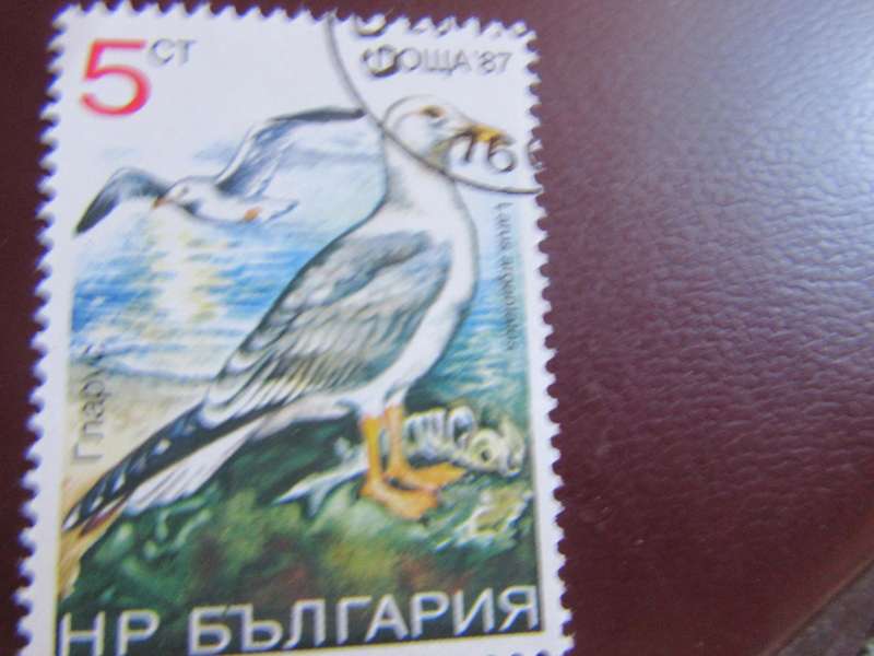 RUSSIA -5