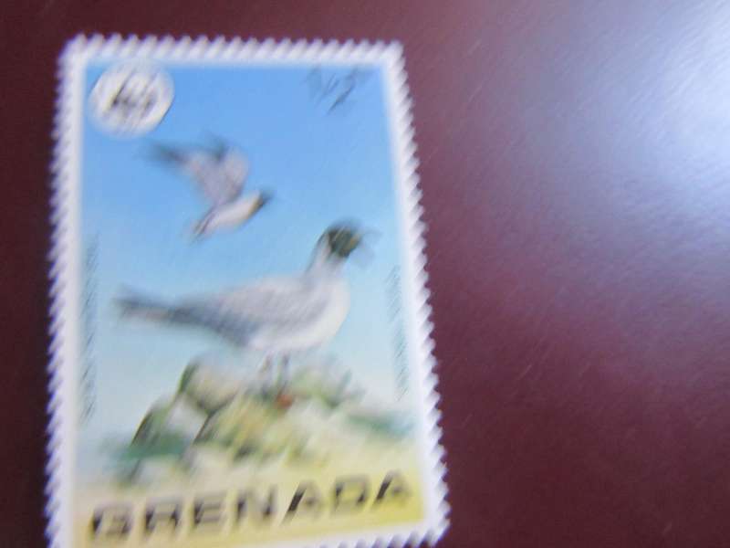 GRENADA -5
