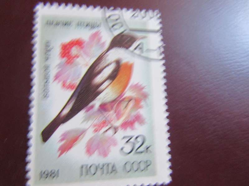 RUSSIA -5