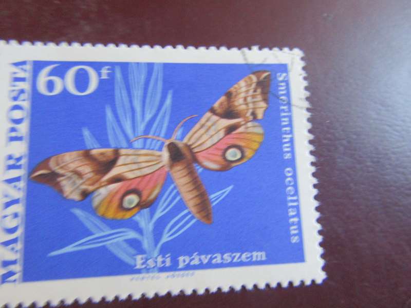 HUNGARY-5