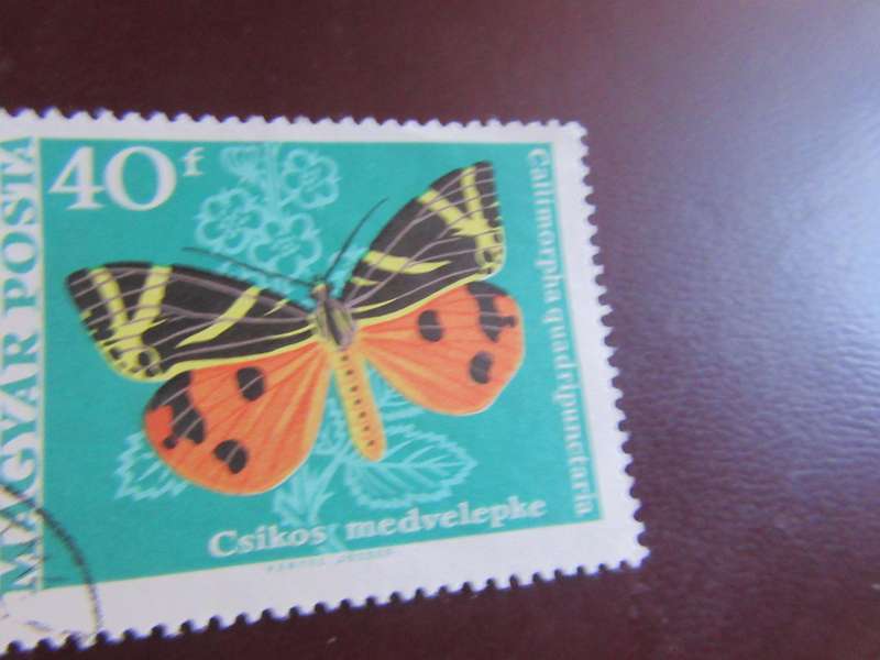 HUNGARY -5
