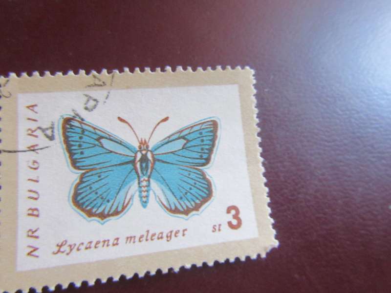 BULGARIA -5