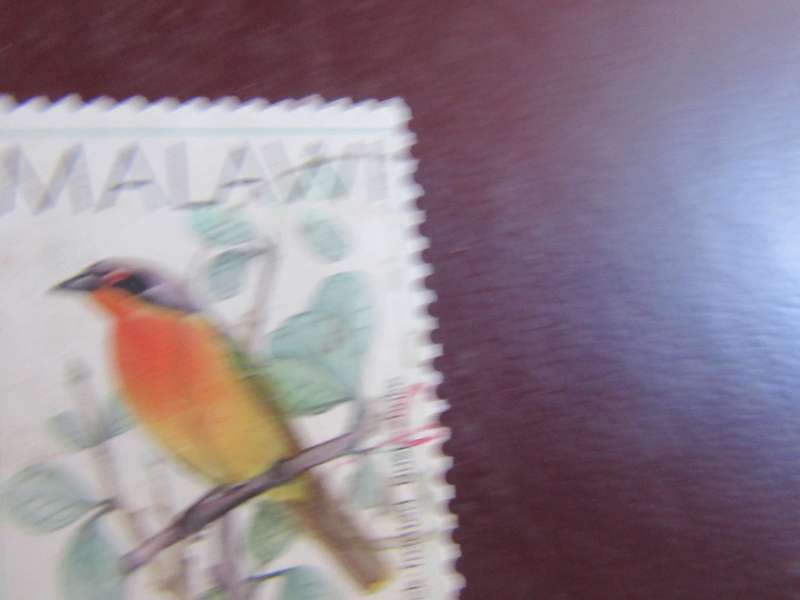 MALAWI-5