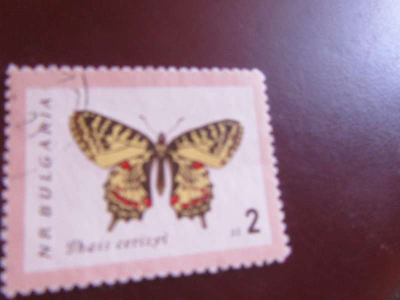 BULGARIA -5