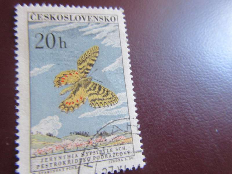 CZECHOSLOVAKIA -5