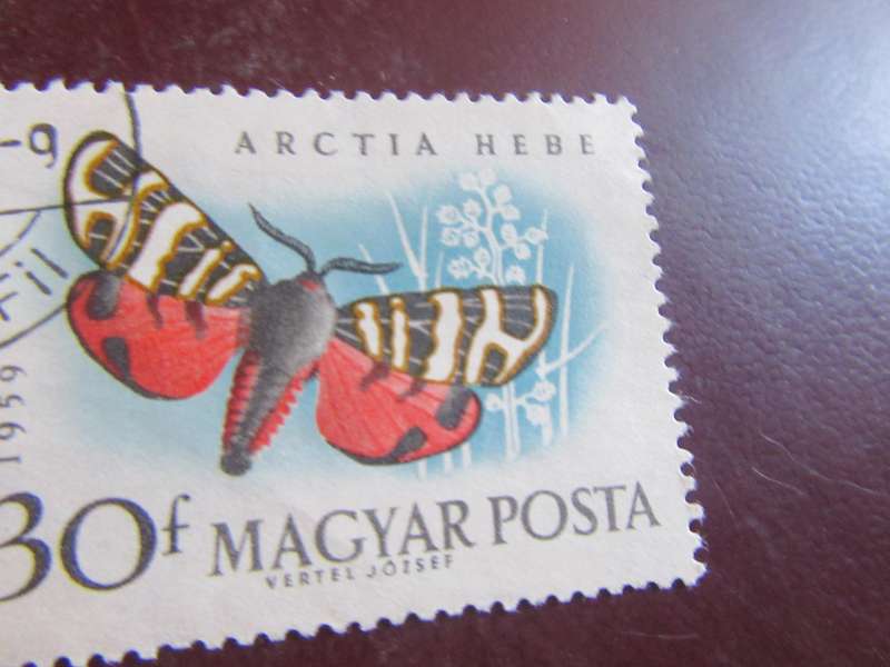 HUNGARY -5