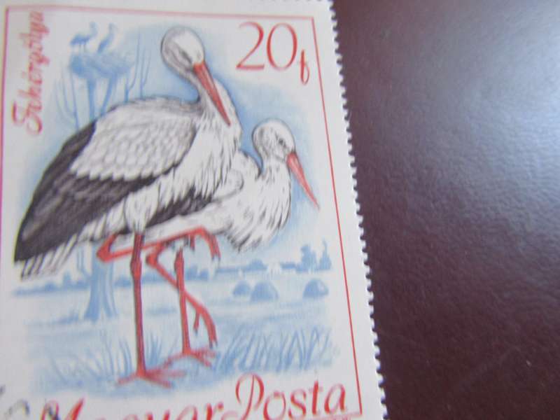 HUNGARY -5