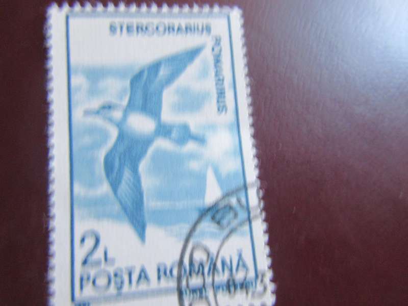 ROMANIA -5