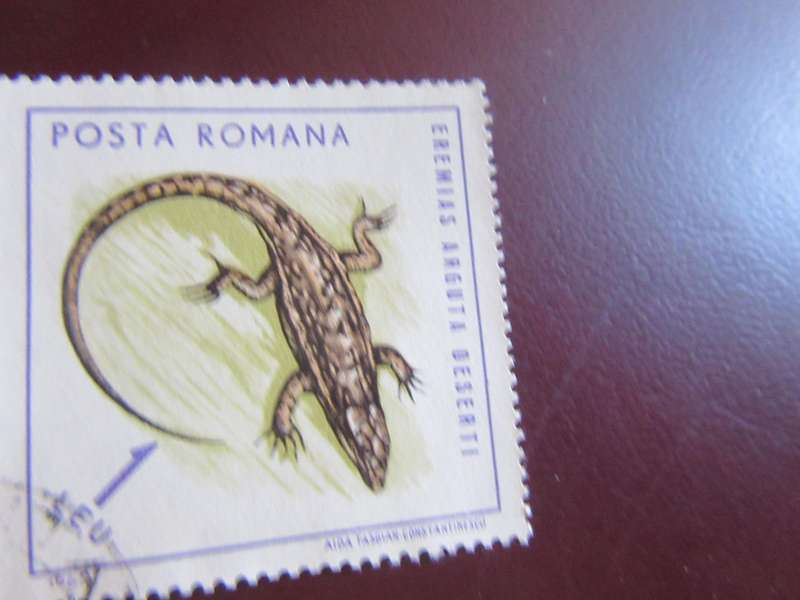 ROMANIA -5