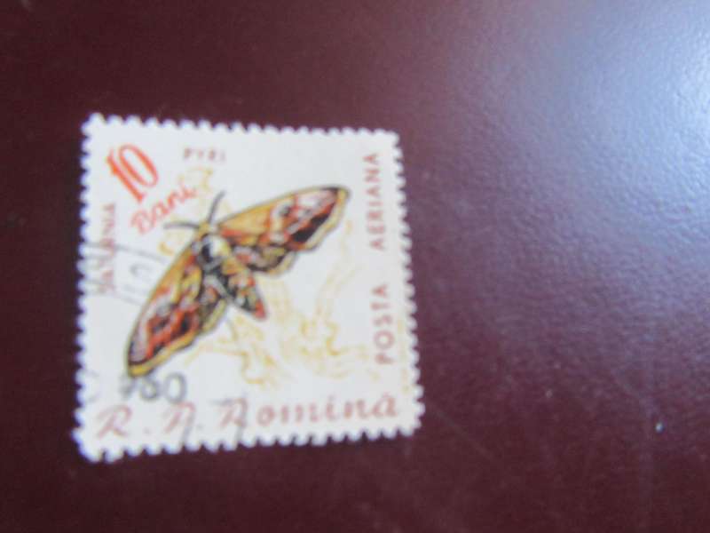ROMANIA -5